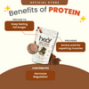 Heal Salted Chocolate Vegan Protein Shake, 15 Servings Value Pack